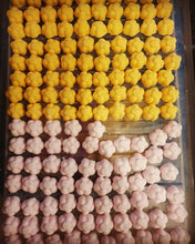 Load image into Gallery viewer, Toilet Bombs Pack of 12