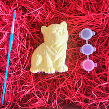 Load image into Gallery viewer, Paint Your Own Bath Bomb Set Of 1