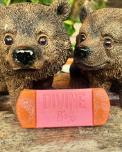 Load image into Gallery viewer, Snap Bar Wax Melt
