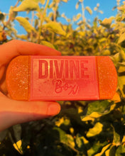 Load image into Gallery viewer, Snap Bar Wax Melt
