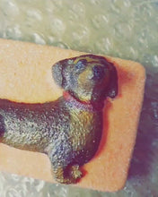 Load and play video in Gallery viewer, Poppy The Sausage Dog Bath Bomb
